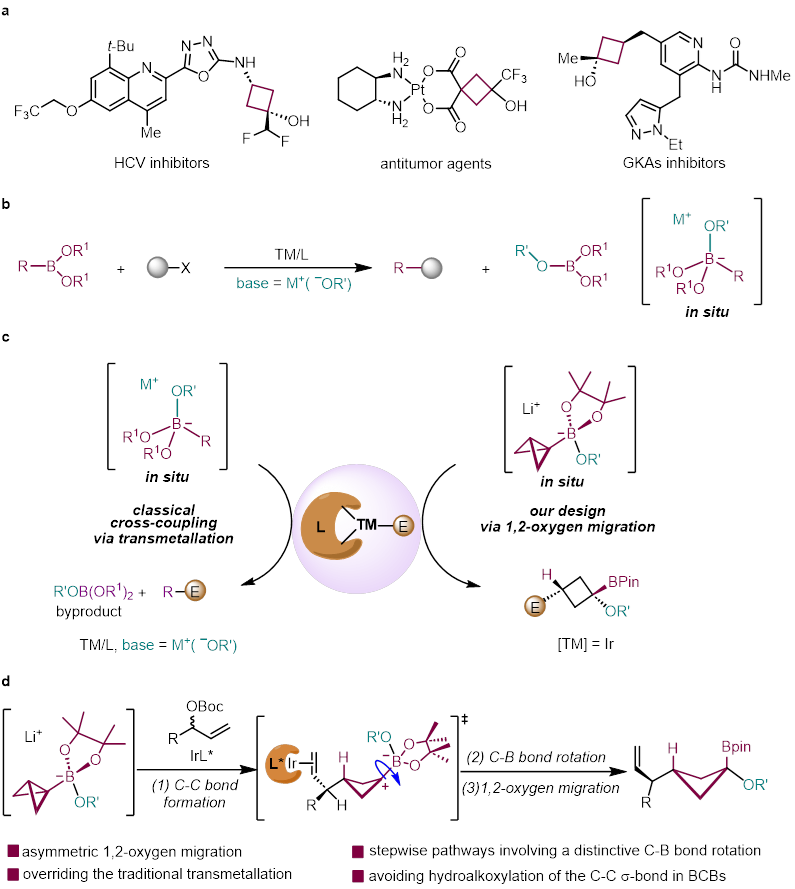物质学院高得伟课题组发展了1,2-氧迁移驱动的BCB硼酸酯不对称C–C σ键双官能团化反应