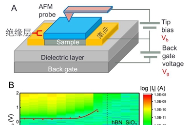 物质学院薛加民课题组在新型扫描探针技术与新型量子材料探索上取得重要进展