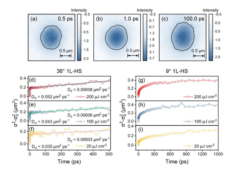 物质学院刘伟民课题组揭示过渡金属二硫化物双层异质结中热层间激子的时空冷却与扩散机制