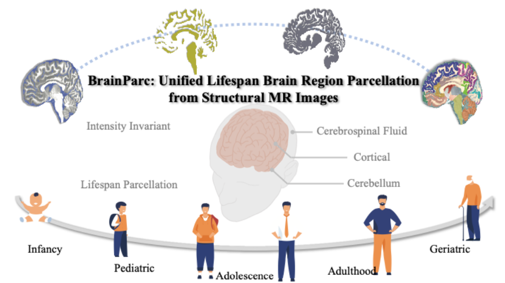 生医工学院沈定刚团队发表脑影像分析新工具