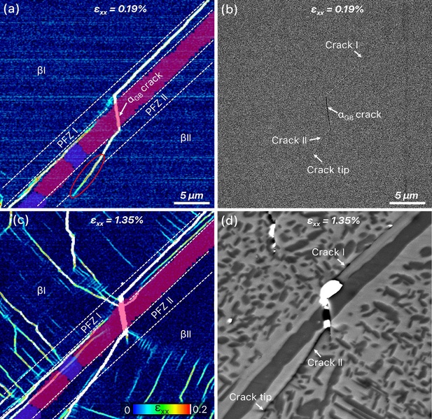 创艺学院张振波课题组揭示晶界α相对增材制造钛合金环境断裂的影响机制