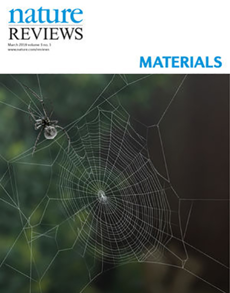 物质学院凌盛杰教授与合作者发表生物大分子纳米微纤材料综述