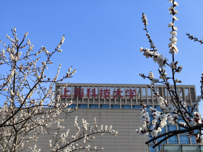 “沪”启未来 | 5月10日高校在沪招生咨询会在上海科技大学举行