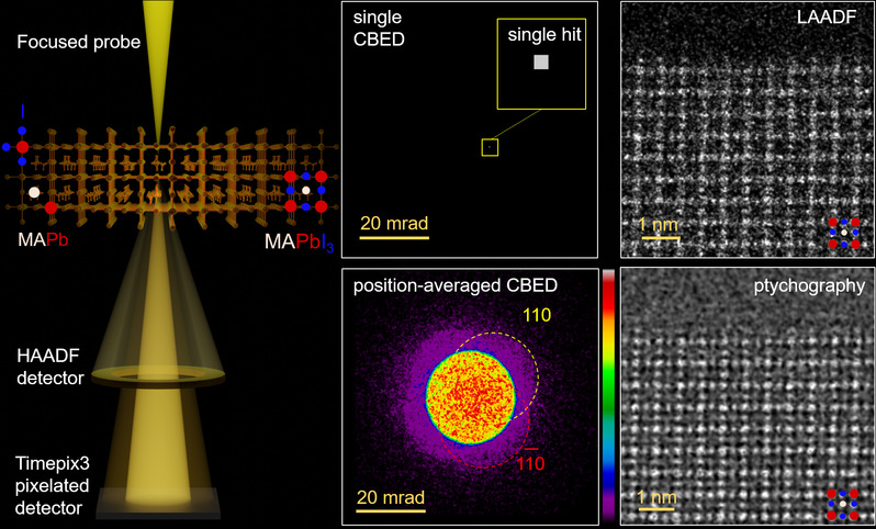 Advance in electron microscopy of radiation-sensitive materials