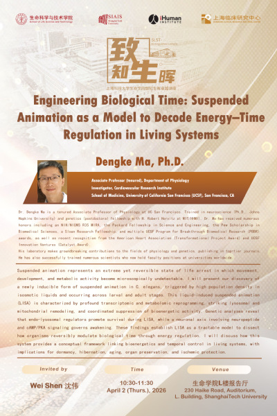 Engineering Biological Time: Suspended Animation as a Model to Decode Energy–Time Regulation in Living Systems