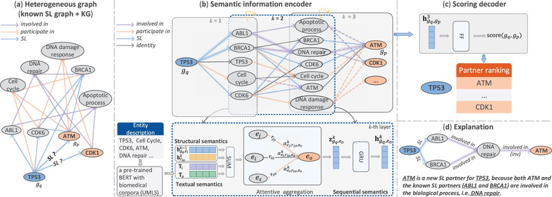 Explainable AI model for anti-cancer drug target discovery