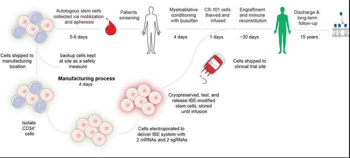 Landmark trial published in Nature: China’s novel base-editing therapy brings hope of cure for thalassemia patients