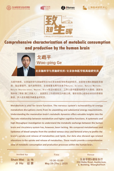 Comprehensive characterization of metabolic consumption and production by the human brain