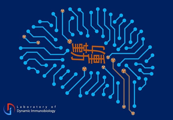 祝贺！上海科技大学两项研究成果入选2020年度“中国生命科学十大进展”