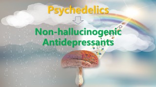 iHuman team and collaborators design novel non-hallucinogenic and rapid-acting antidepressant compounds