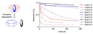 Acid-labile Molecular Container for Controlled Drug Release Developed