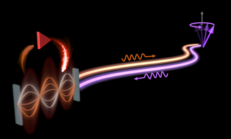 物质学院陆卫团队揭示米级光子-磁振子强耦合机制
