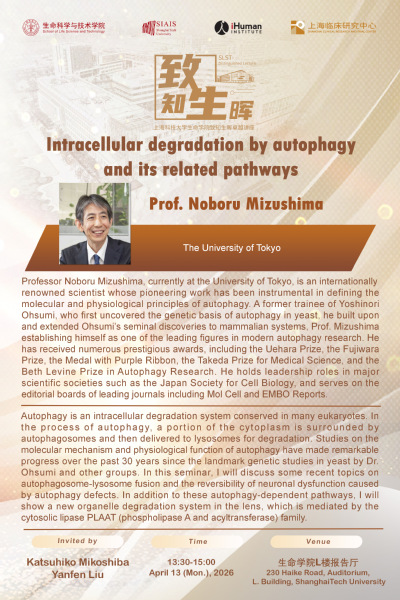 Intracellular degradation by autophagy and its related pathways