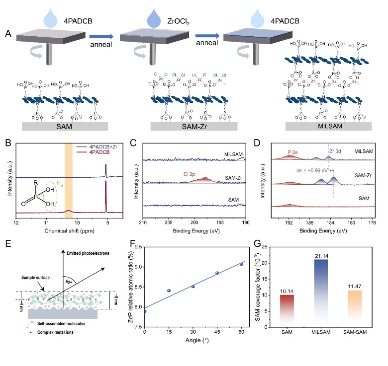 物质学院宁志军团队构建金属离子交联自组装空穴选择层