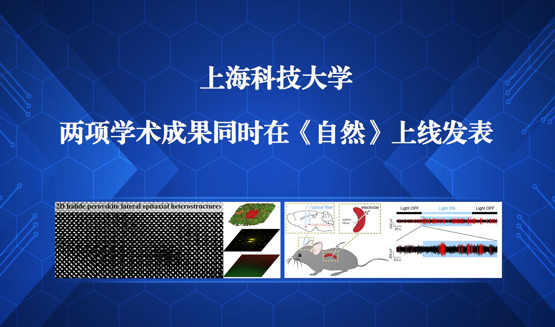 我校两项学术成果同时在《自然》上线发表，研究生在高水平科研中茁壮成长