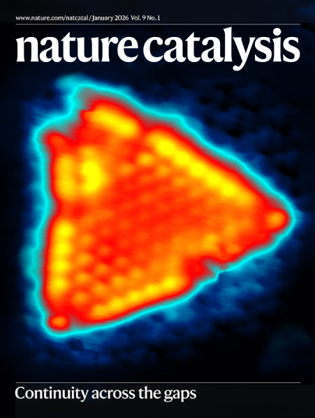物质学院杨帆课题组在界面限域催化机理研究方面取得重要进展