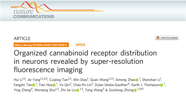 iHuman研究所钟桂生课题组揭示大麻素I型受体 (CB1) 周期性结构域
