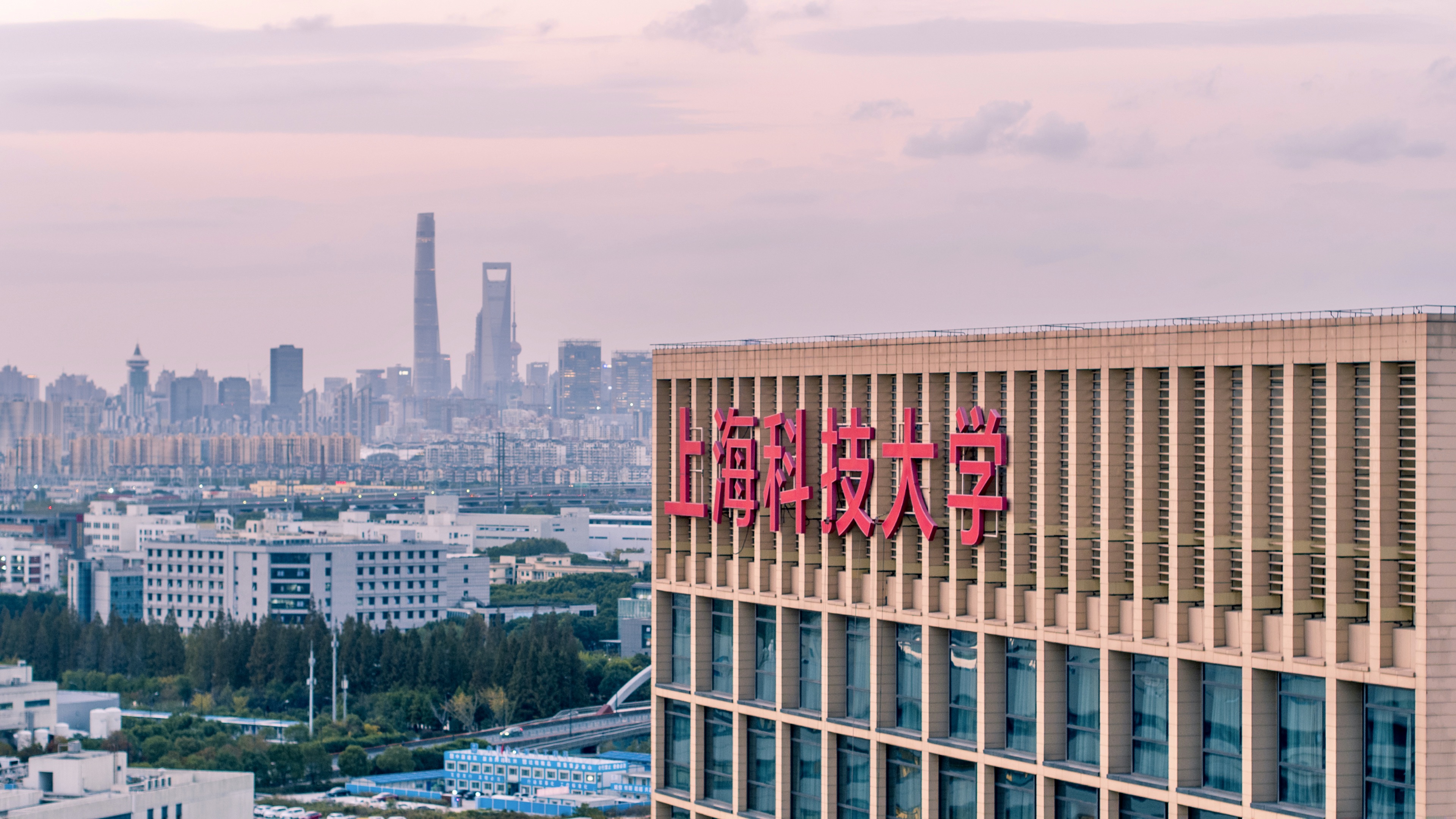 火热七月！上科大近期物质与信息科学领域成果速递