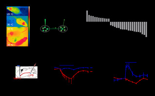 Shen Wei’s Lab Clarifies the Mechanism by Which Parabrachial Neurons Types Categorically Encode Thermoregulation Variables During Heat Defense