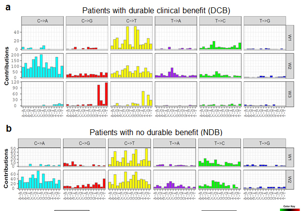 Immunotherapy Response Predictive Biomarkers Identified