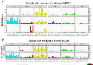 Immunotherapy Response Predictive Biomarkers Identified