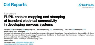 SLST researchers develop a stamping technique in the nervous system