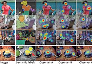 Personalized Saliency Prediction Map Proposed